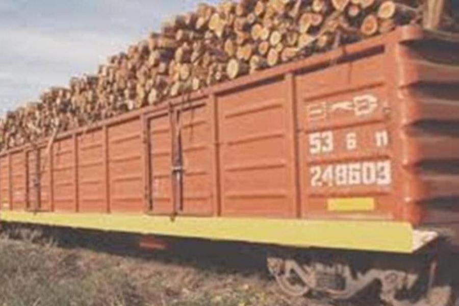 tren con maderas