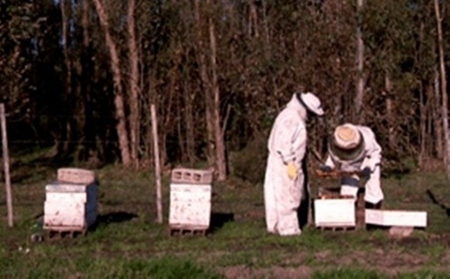acuerdo apicultores