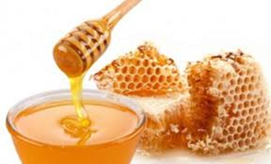 produccion miel