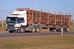 camion foresta