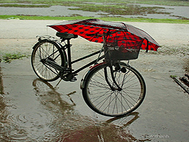 lluvia bicicleta paraguas Lê Thanh Từ