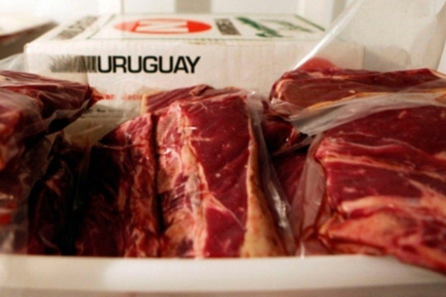 carne exportacion uruguay