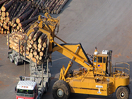 exportacion madera celulosa