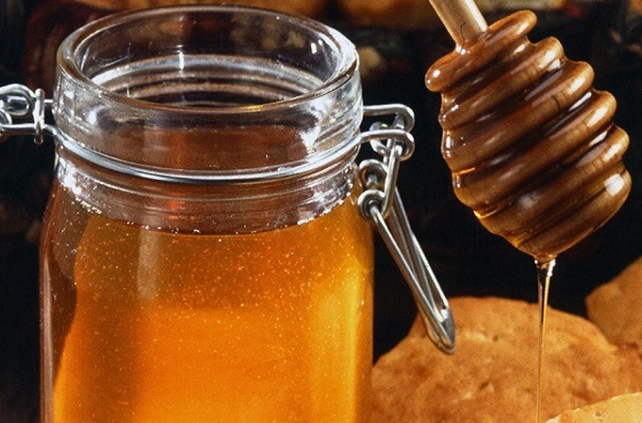 exportacion miel