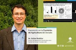 El Dr. Rafael Rubilar