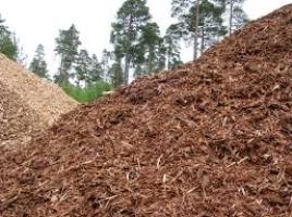 biomasa fores