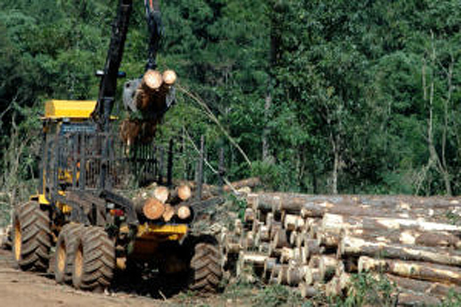 foresto industria argentina