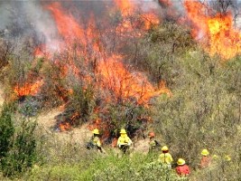 incendio forestal bomberos chile