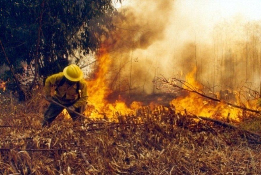incendios forestales en Europa