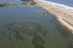 Laguna Garzón cianobacterias
