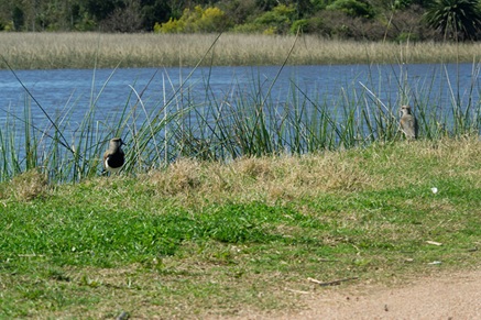 Técnicos de Ambiente5