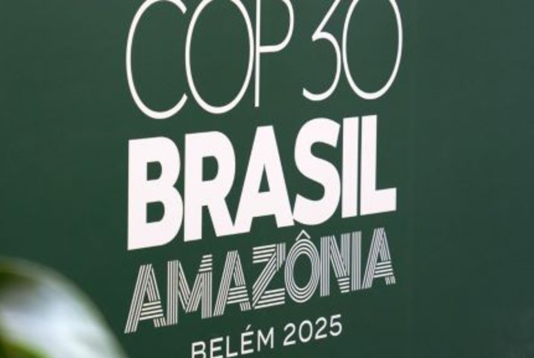 cop3 amazona