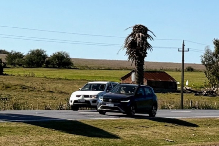 picudo rojo ruta1