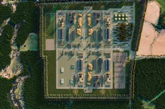 tala de monte nativo