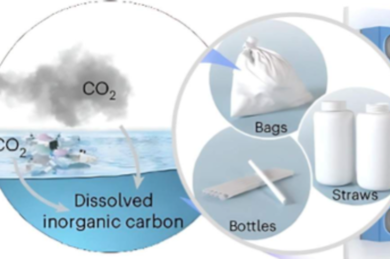 biodegradable