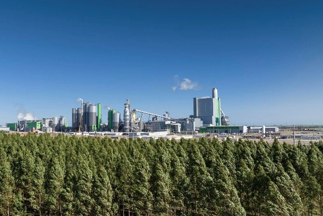 planta paso de los toros