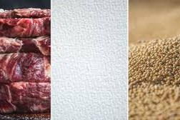 bienes de exportación