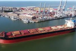 Gandini cruzó a gerente de la ANP