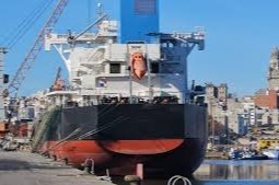 Puerto de Montevideo pérdidas