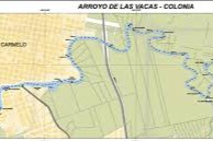 arro vacas