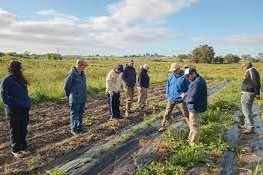 5 de marzo fue el Día Nacional del Fitomejoramientojpg