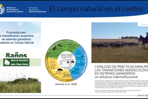 Chacra al paisaje