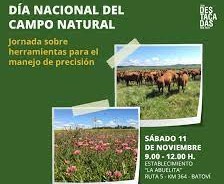 Día Nacional del Campo Natural