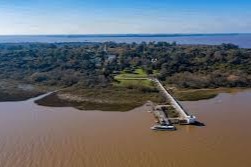 El picudo rojo ingresa en la isla Martín García