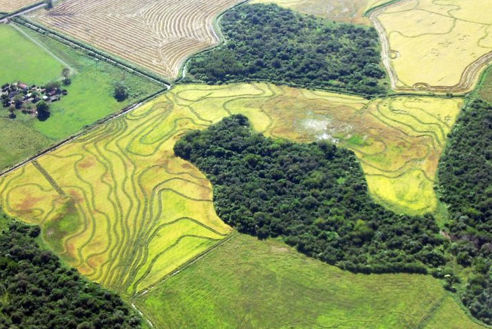 Tierra suelo campo