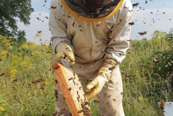 UPM convoca a apicultores