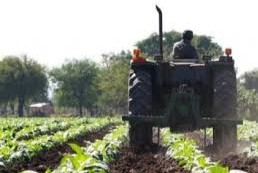 agricultores no usa bioinsumos
