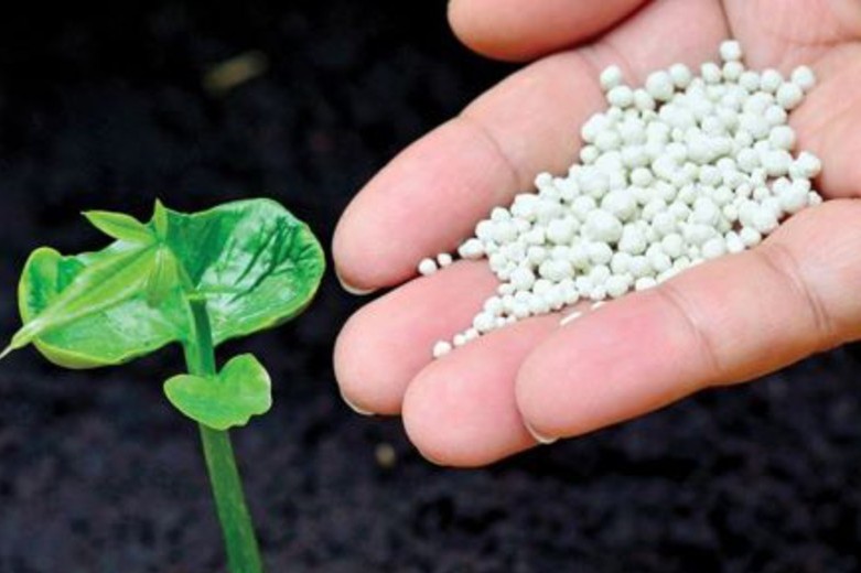 cultivos sostenibles