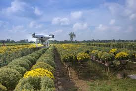 expectativas de los agricultores