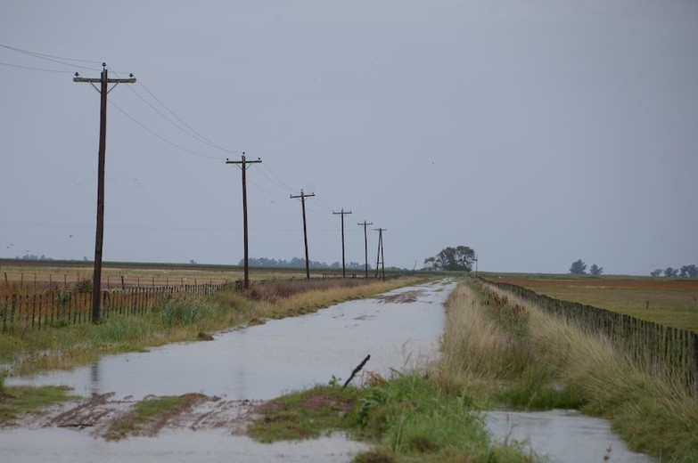 hectáreas afectadas