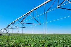 hectáreas con riego