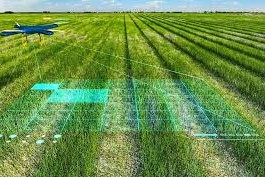 inteligencia artificial en la agricultura