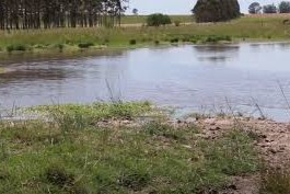 karma de las aguadas