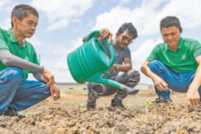 Internacionales ICIFORESTAL Internacionales ICIFORESTAL