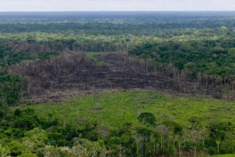 Deforestación4