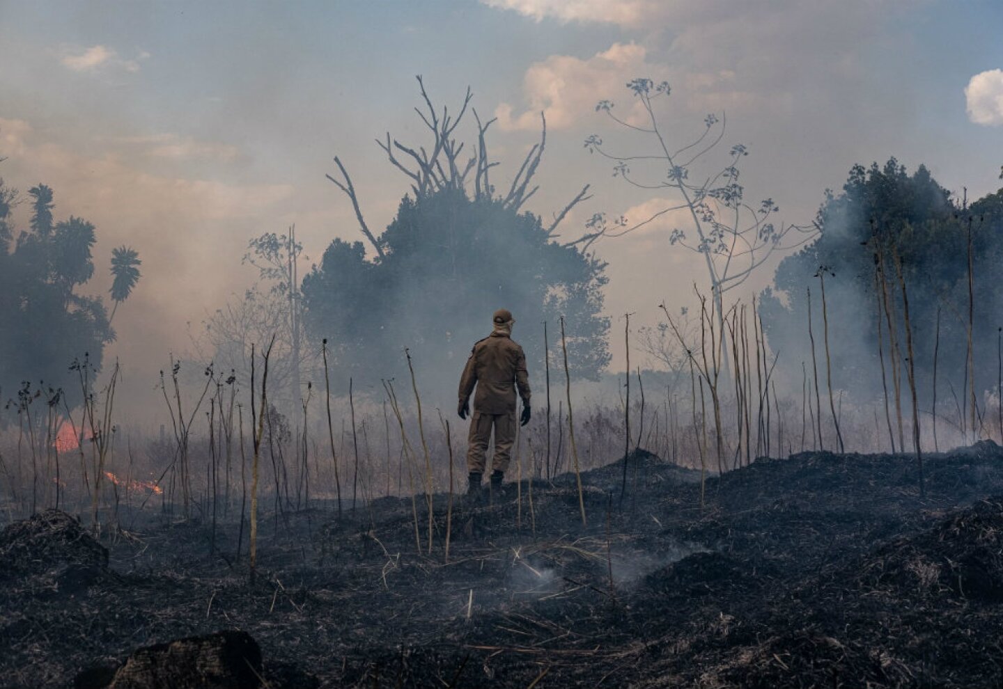 Incendio en la Amazoniajpg