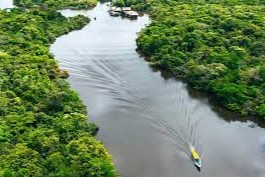 cuenca del Amazonas