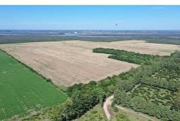 HIF Global Ambiental Previa