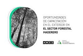 Becas para el desarrollo del sector forestal madererojpg