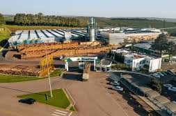 Compañía forestalindustrial BrasPine