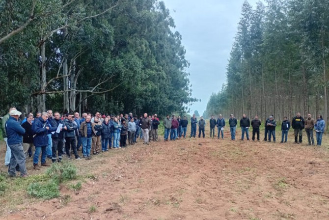 Consorcios forestales y autoridades