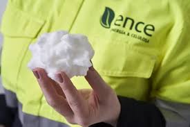 Ence impulsa sostenible de celulosa