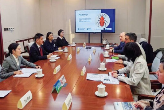 Forestales en Beijing