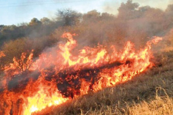 Incendios campos
