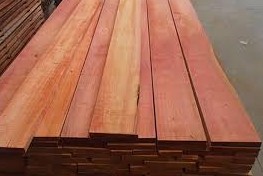 Paraguay comercio forestal