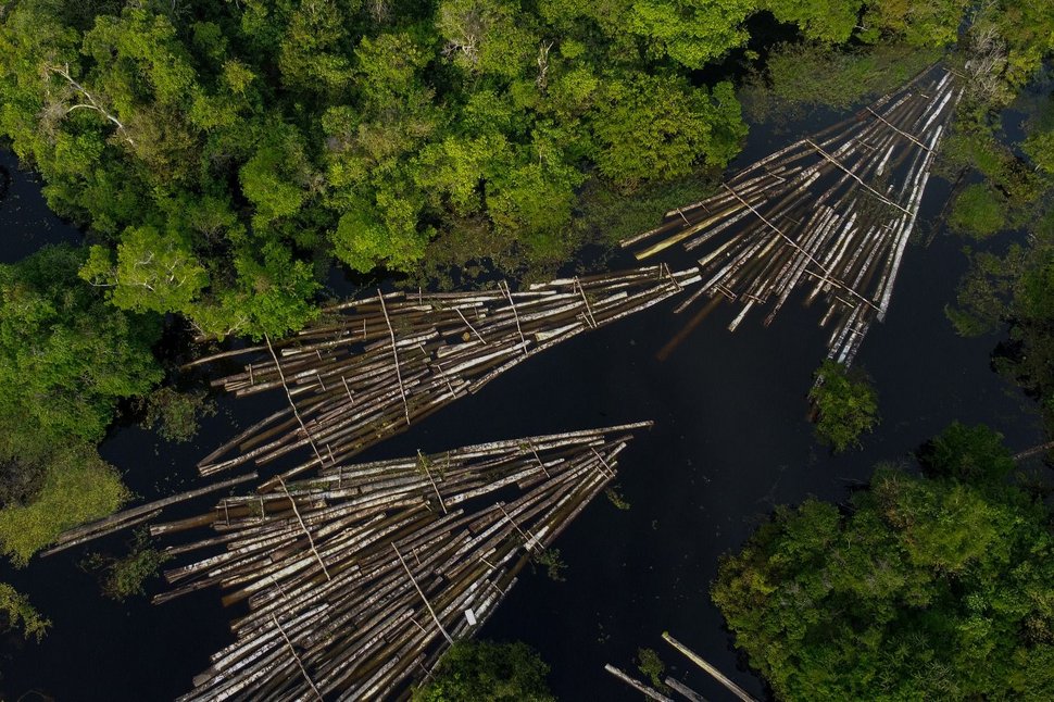 deforestación amazónica